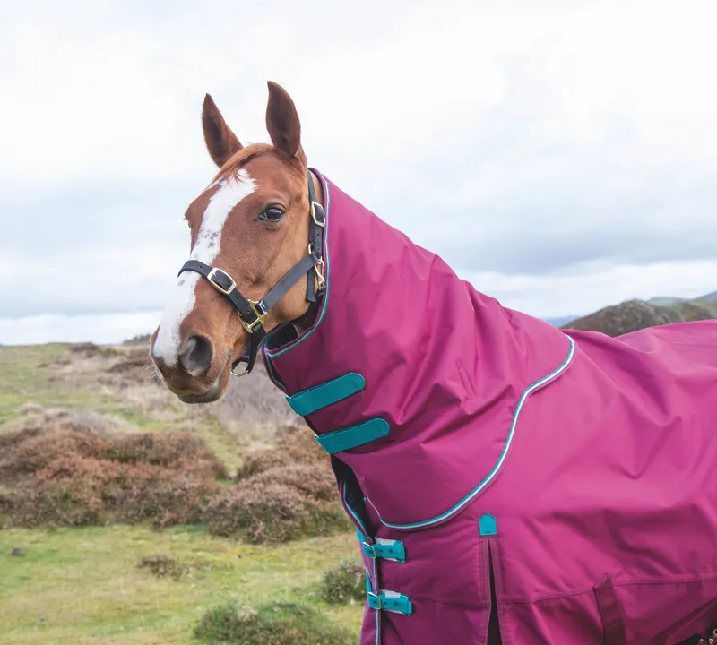 Shires Highlander Original 300g Turnout Neck Cover - Raspberry