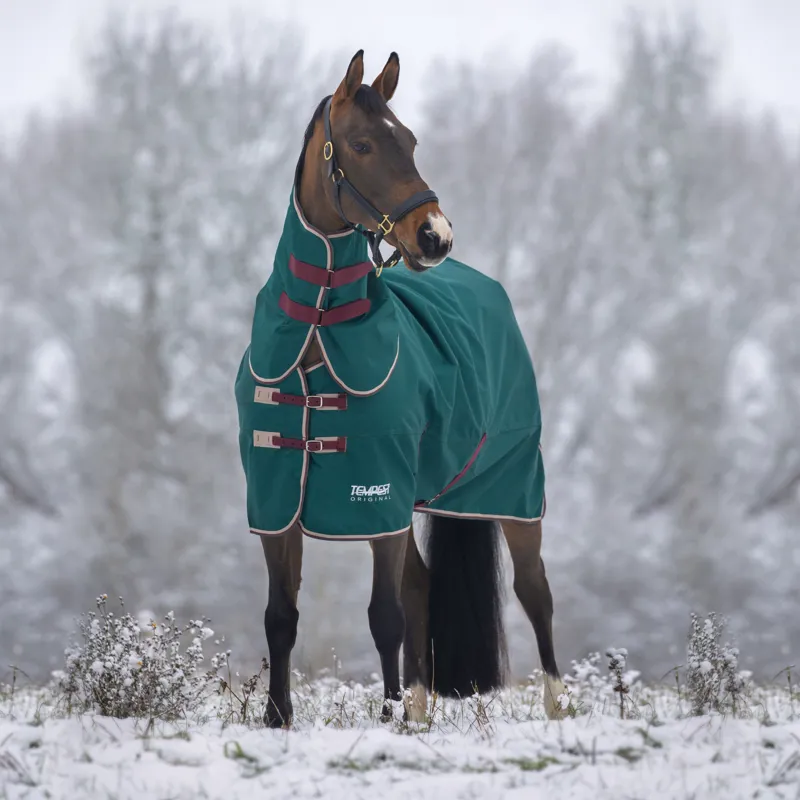 Shires Tempest Original 200g Turnout Rug and Neck Set - Green