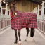 Shires Tempest Plus 200g Stable Combo Rug - Red Check