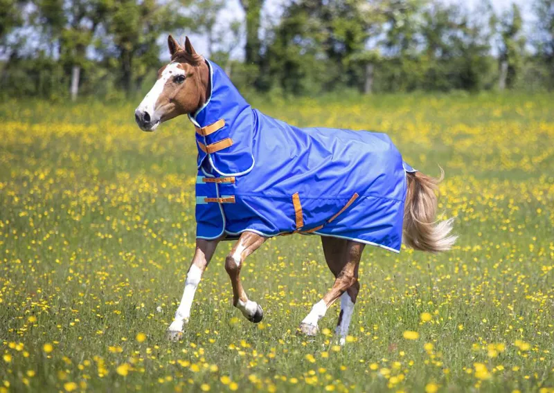 Shires Tempest Original 50g Combo Turnout Rug - Royal-2