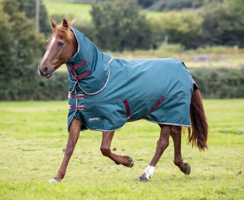 Shires Tempest Original 200g Turnout Rug and Neck Set - Green-2