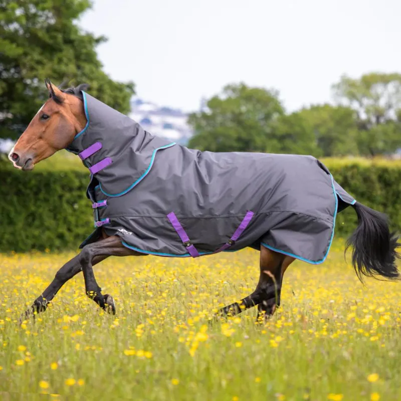 Shires Tempest Original 300g Turnout Rug and Neck Set - Black