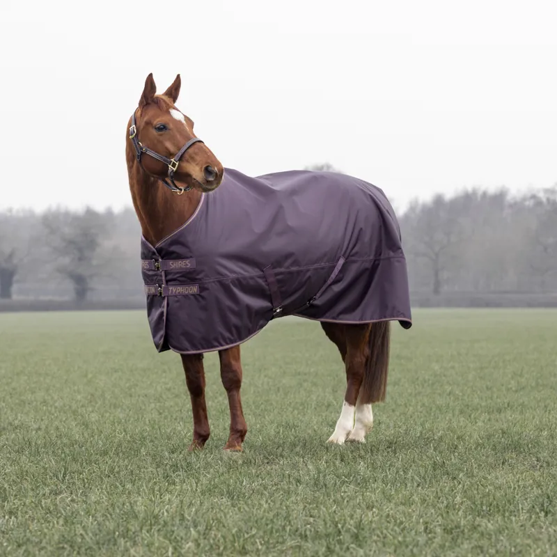 Shires Typhoon 100g Turnout Rug - Black Cherry