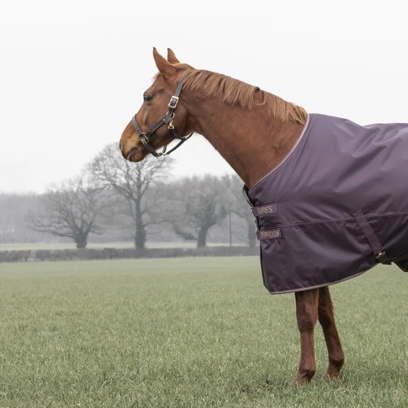 Shires Typhoon 100g Turnout Rug - Black Cherry-2