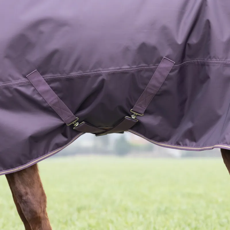 Shires Typhoon 100g Turnout Rug - Black Cherry-3