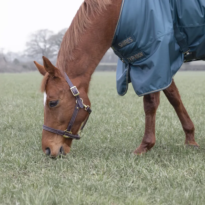Shires Typhoon 200g Turnout Rug - Green-2
