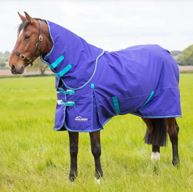 Shires Highlander Original 50g Turnout Rug and Neck Set - Royal