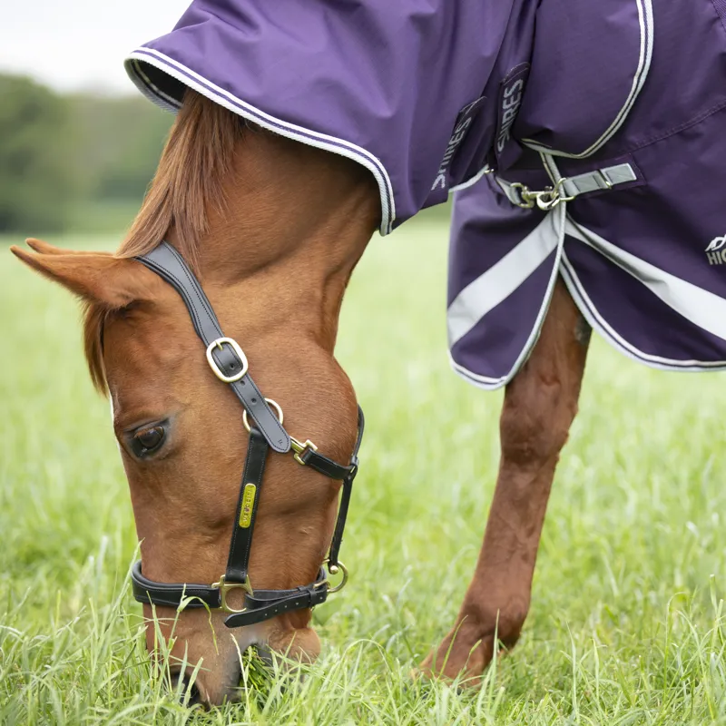 Shires Highlander Original 100g Turnout Rug and Neck Set - Plum-2