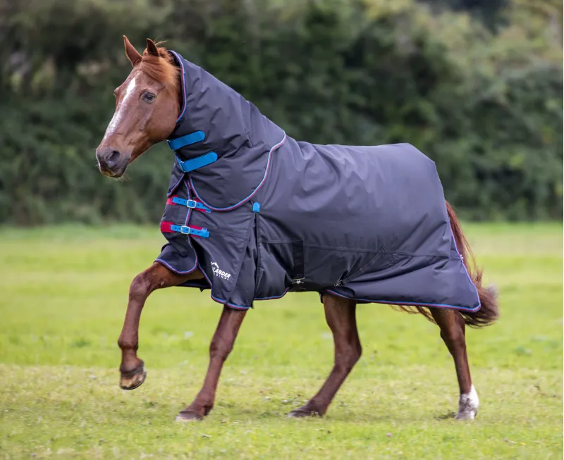Shires Highlander Original 200g Turnout Rug and Neck Set - Black
