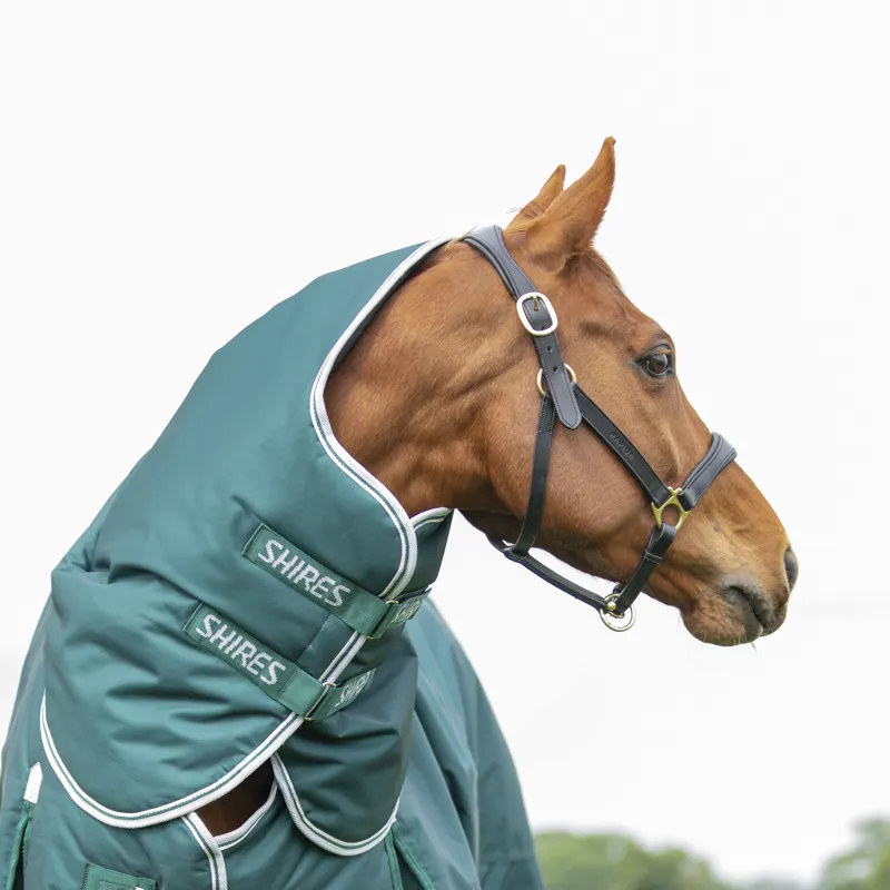 Shires Highlander Original 300g Turnout Rug and Neck Set - Green-1