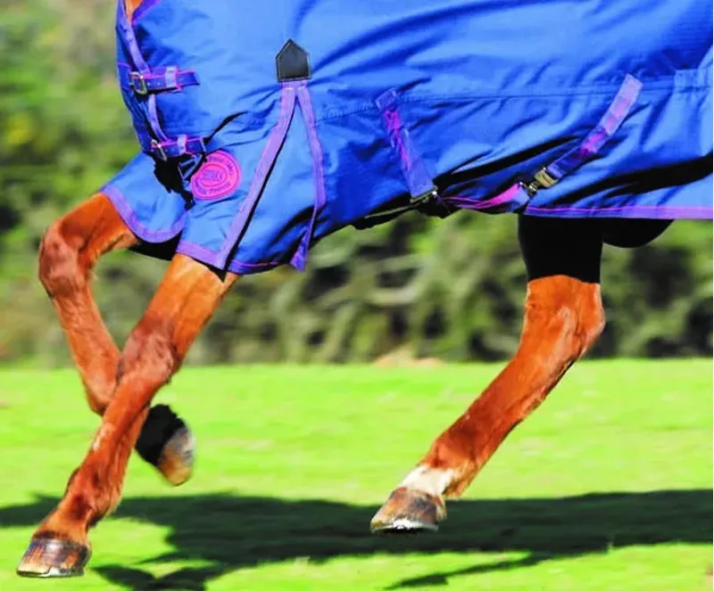 Shires StormBreaker 300g Combo Turnout Rug - Navy/Red