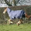 Shires StormBreaker 300g Combo Turnout Rug - Dark Airforce Blue