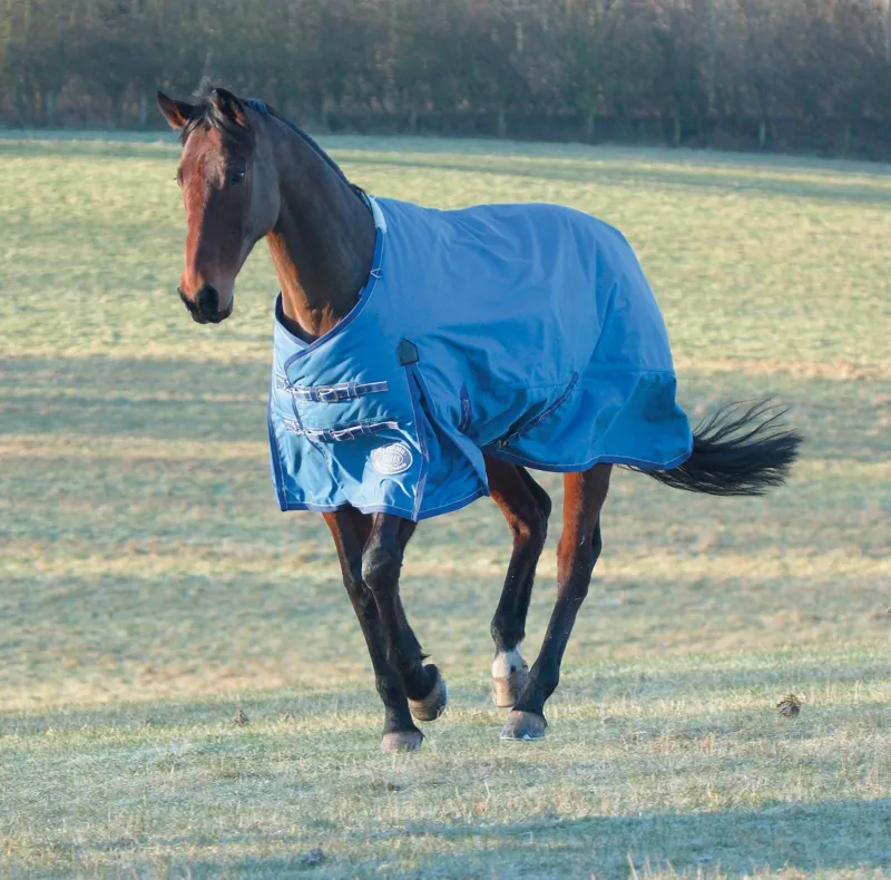 Shires Winter Typhoon 350g Turnout Rug - Navy Blue