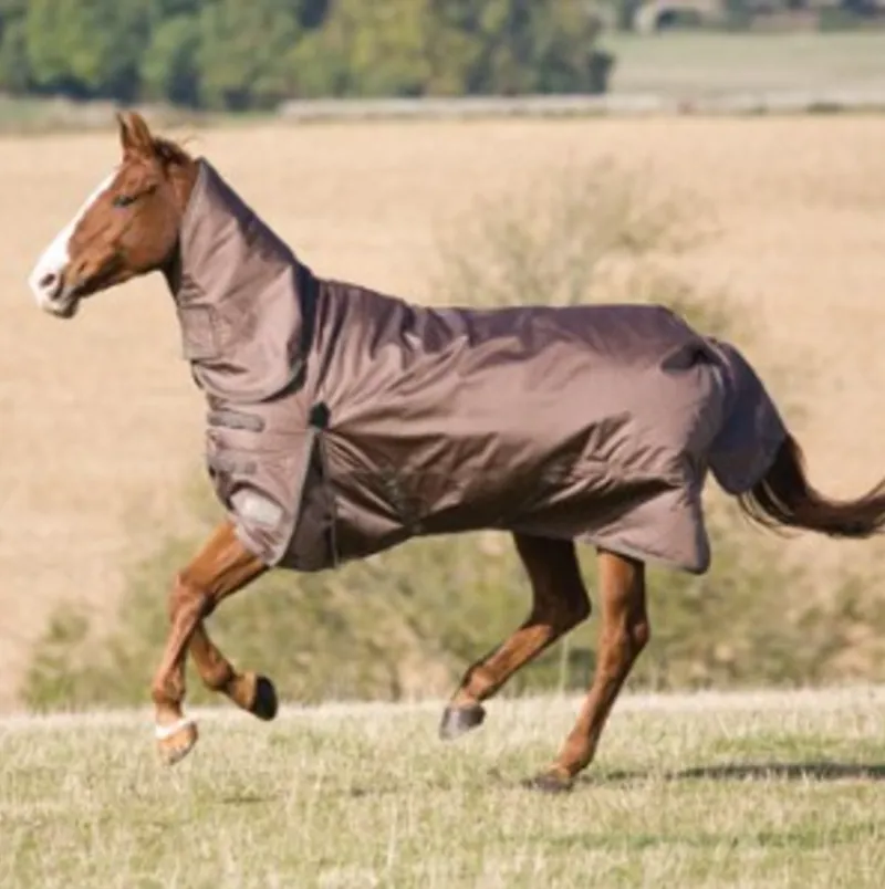 Shires Winter Typhoon 300g Combo Turnout Rug - Bronze