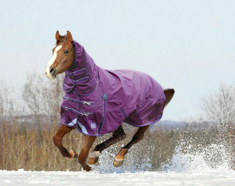 Shires Winter Typhoon 300g Combo Turnout Rug - Purple