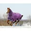 Shires Winter Typhoon 300g Combo Turnout Rug - Purple