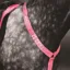Shires Equi Flector Breastplate - Pink