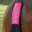 Shires Equi Flector Tail Strap - Pink