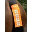 Shires Equi Flector Tail Strap - Orange