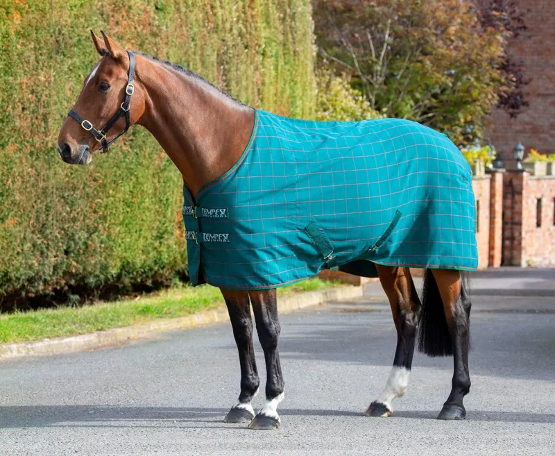 Shires Tempest Original Stable Sheet - Green Check
