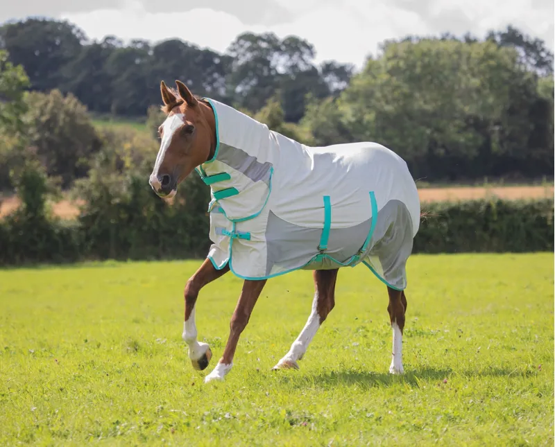 Shires Tempest Original Summer Shield Rug with Mesh - White