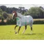 Shires Tempest Original Summer Shield Rug with Mesh - White