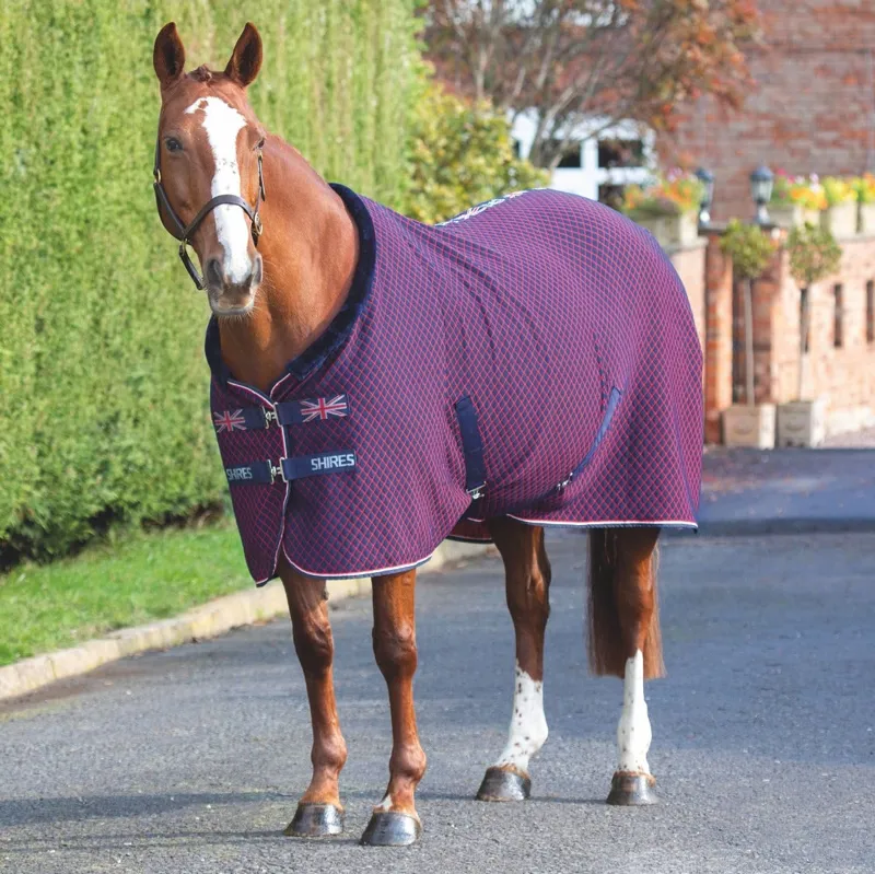 Shires Tempest Original Team Shires Show Rug