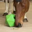 Shires Ball Feeder - Green