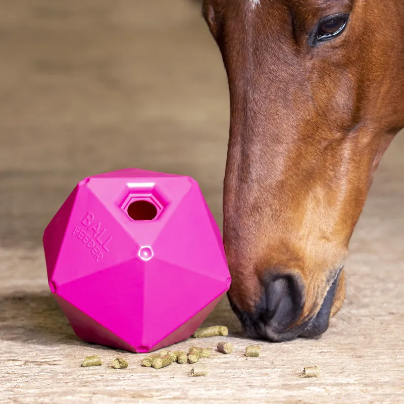 Shires Ball Feeder - Pink