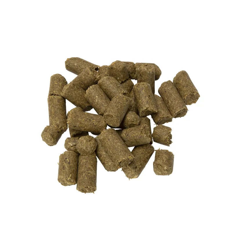 Shires Mint Fresh Treats-1