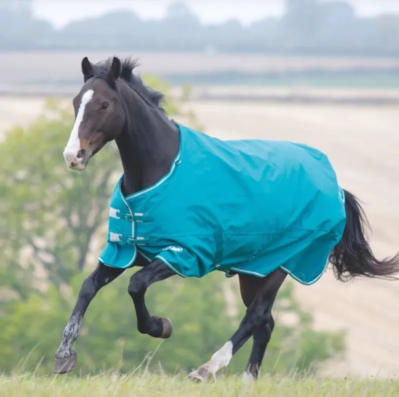 Shires Tempest Plus 200g Turnout Rug - Teal