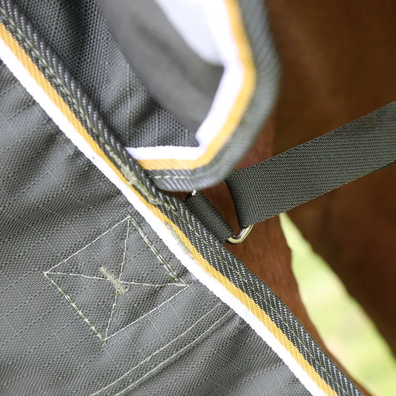 Shires Highlander Plus 50g Turnout Rug - Green-3