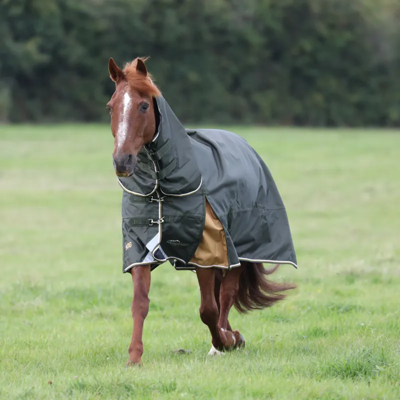Shires Highlander Plus 50g Combo Turnout Rug - Green-1