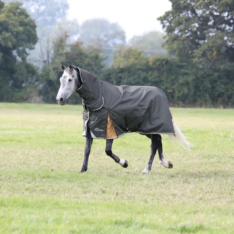 Shires Highlander Plus 50g Combo Turnout Rug - Green-8