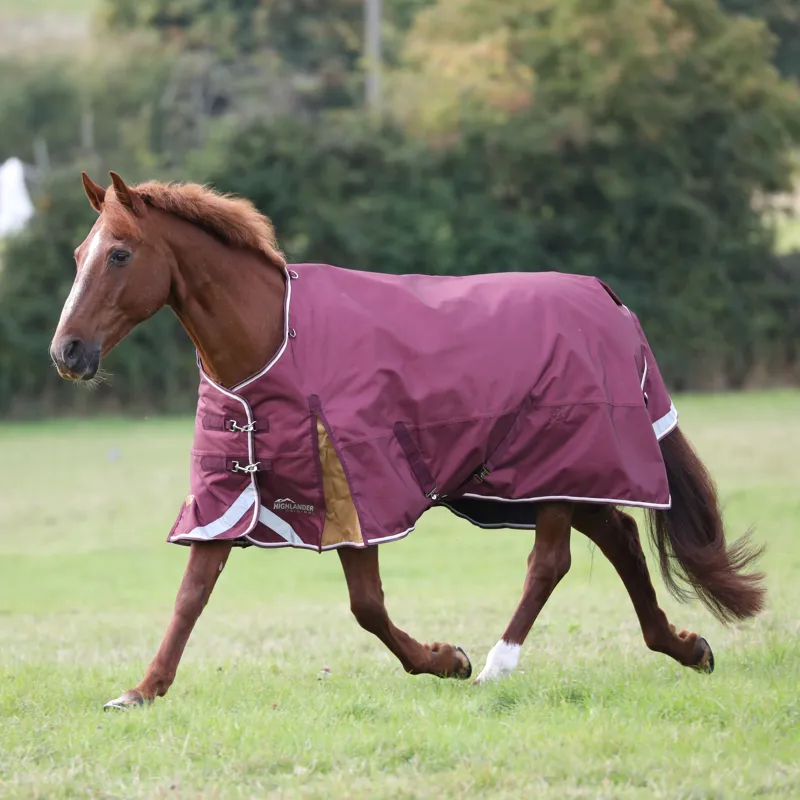 Shires Highlander Plus 100g Turnout Rug - Maroon