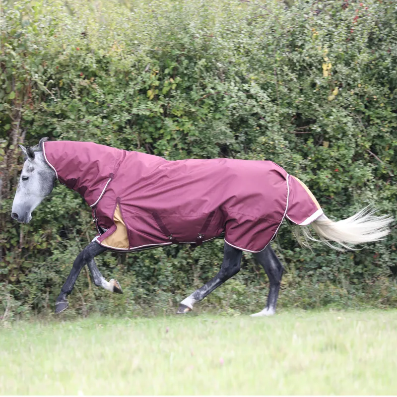 Shires Highlander Plus 100g Combo Turnout Rug - Maroon-1