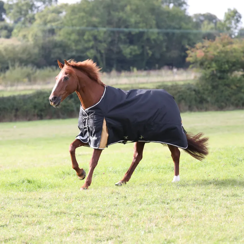 Shires Highlander Plus 200g Turnout Rug - Black