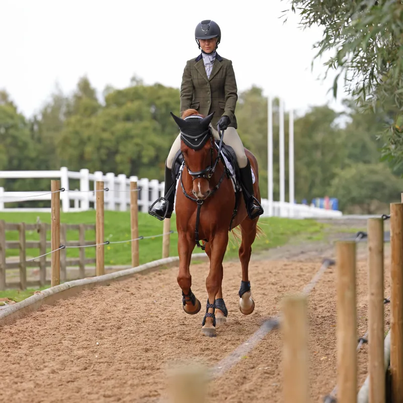 Shires Aubrion Saratoga Jacket - Spruce Green Check-2