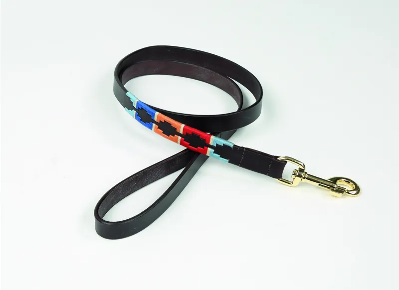 Shires Digby and Fox Drover Polo Dog Lead - Turqoise/Red/Orange/Blue