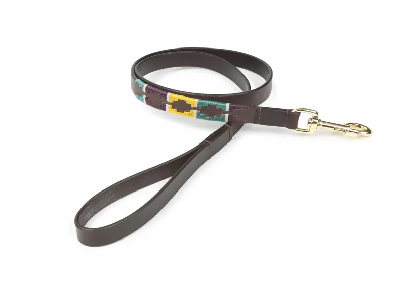 Shires Digby and Fox Drover Polo Dog Lead - Yellow/Dark Green/Purple