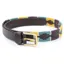 Shires Aubrion Drover Polo Belt - Yellow/Drk Green/Purple