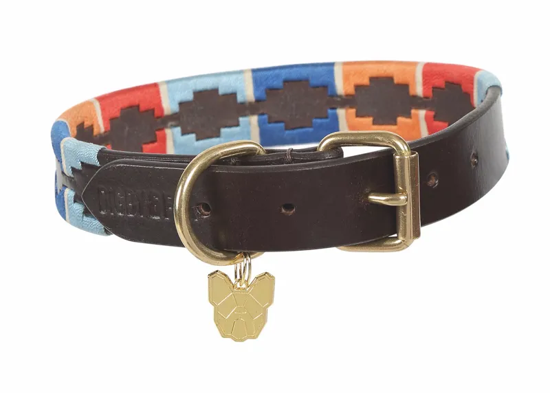 Shires Digby and Fox Dover Polo Dog Collar - Turquoise/Red/Orange/Blue