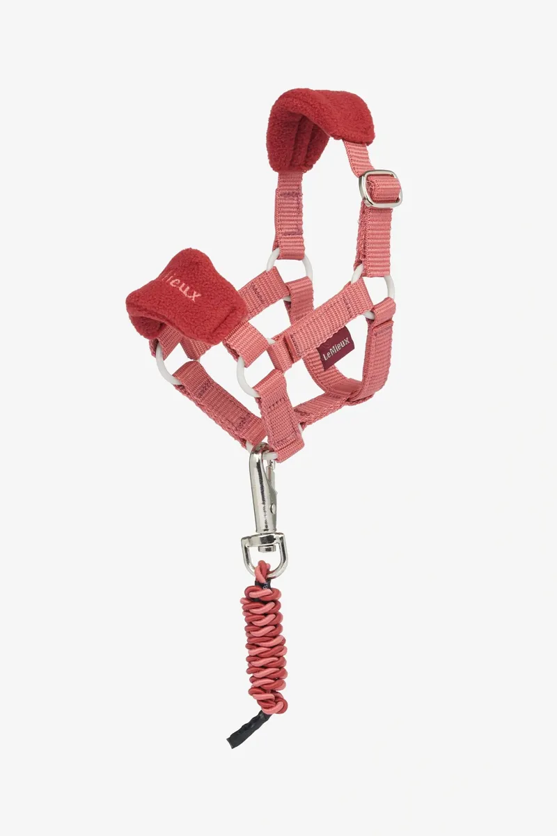 LeMieux Toy Pony Vogue Headcollar and Leadrope - Spiced Earth