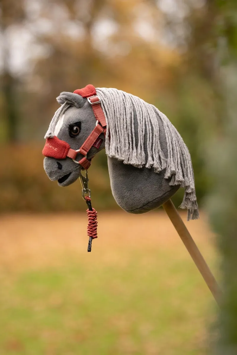 LeMieux Toy Pony Vogue Headcollar and Leadrope - Spiced Earth-2