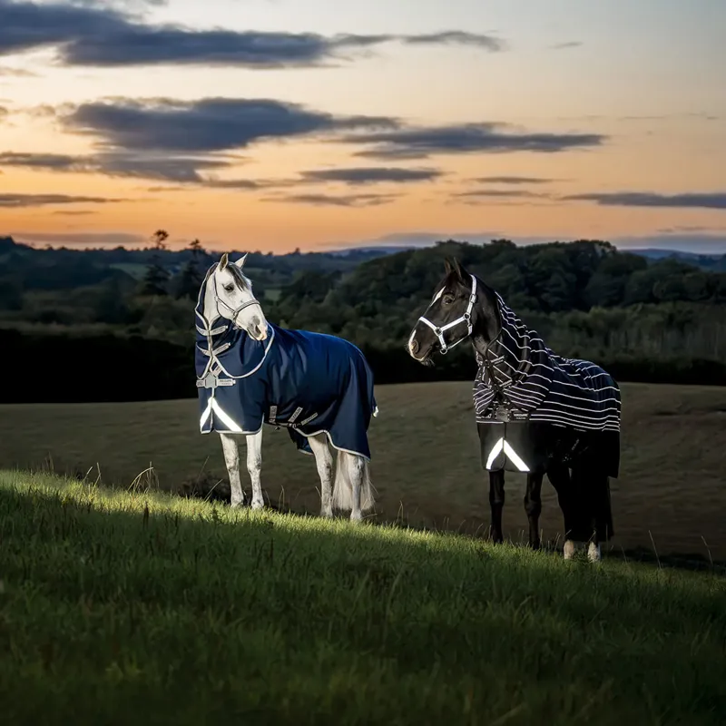 Horseware Amigo 1200D FieldSafe plus 100g Turnout Rug - Navy/Titanium Grey/Silver-1