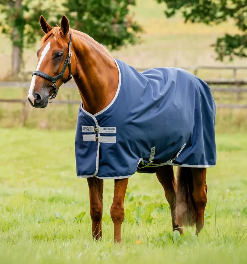 Horseware Amigo Ripstop 900D 50g Turnout Rug - Navy/Titanium Grey