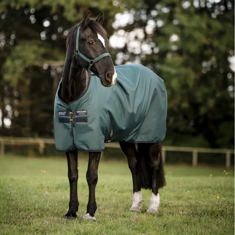 Horseware Amigo Ripstop 900D 50g Turnout Rug - Dynasty Green/Navy