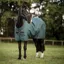 Horseware Amigo Ripstop 900D 50g Turnout Rug - Dynasty Green/Navy
