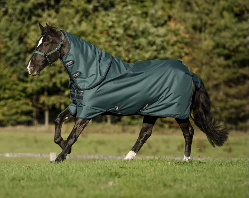 Horseware Amigo Ripstop 900D Plus 200g Turnout Rug - Dynasty Green/Navy/Silver
