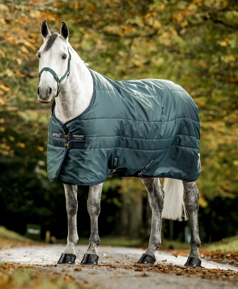Horseware Amigo Ripstop Insulator 200g Stable Rug - Dynasty Green/Navy/Silver